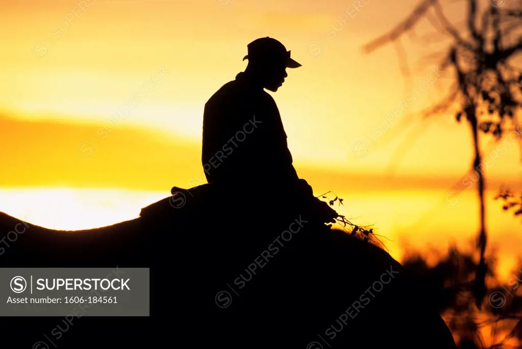Silhouette of a man in Botswana, Africa