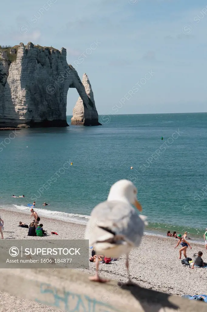 View of Etretat cliff in Normandy, France