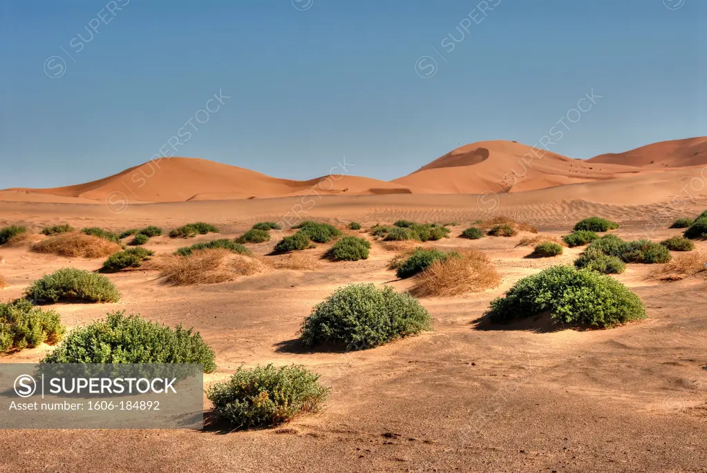Erg Chebbi sand dune, Sahara Desert, Morocco, Africa