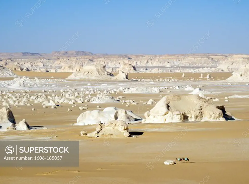Egypt, white desert
