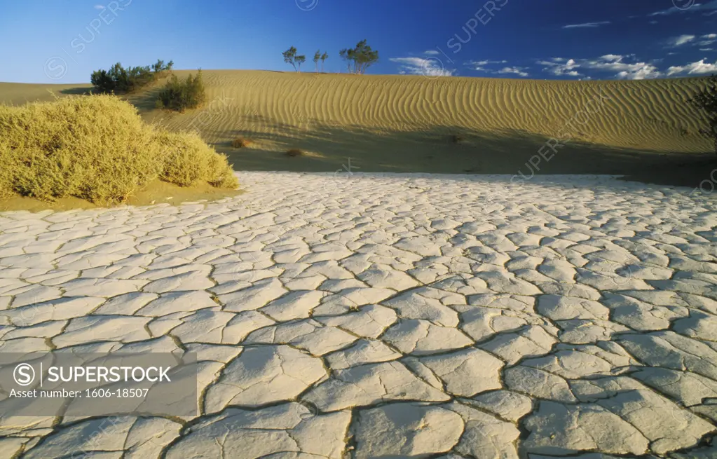 USA, California, Death Valley National Park, white and yellow sand, vegetation, blue sky and clouds