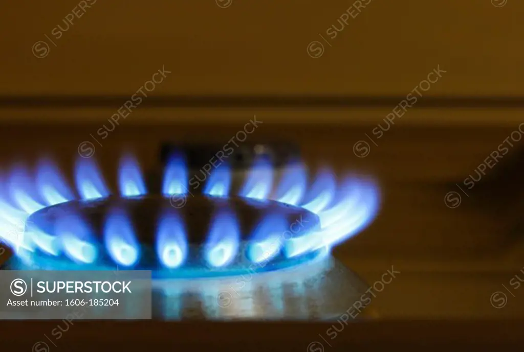 Gas stove burner