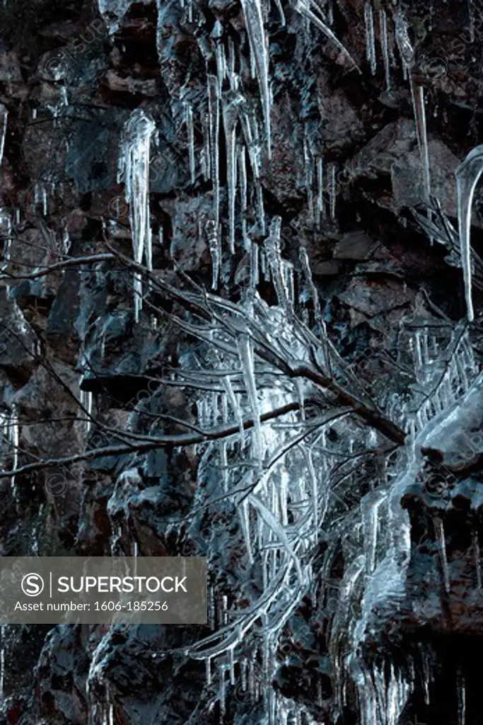 Shrub with stalagtites,Ariege, France