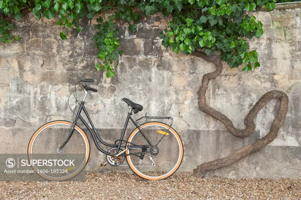 Paris, bike against a wall