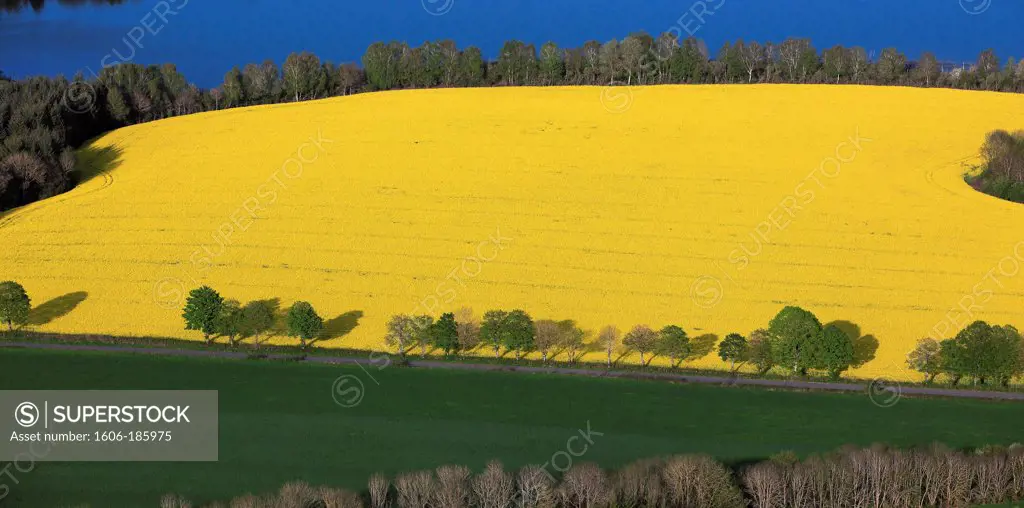 France, Aveyron (12), Landscape of crop with canola field in bloom, (aerial photo,