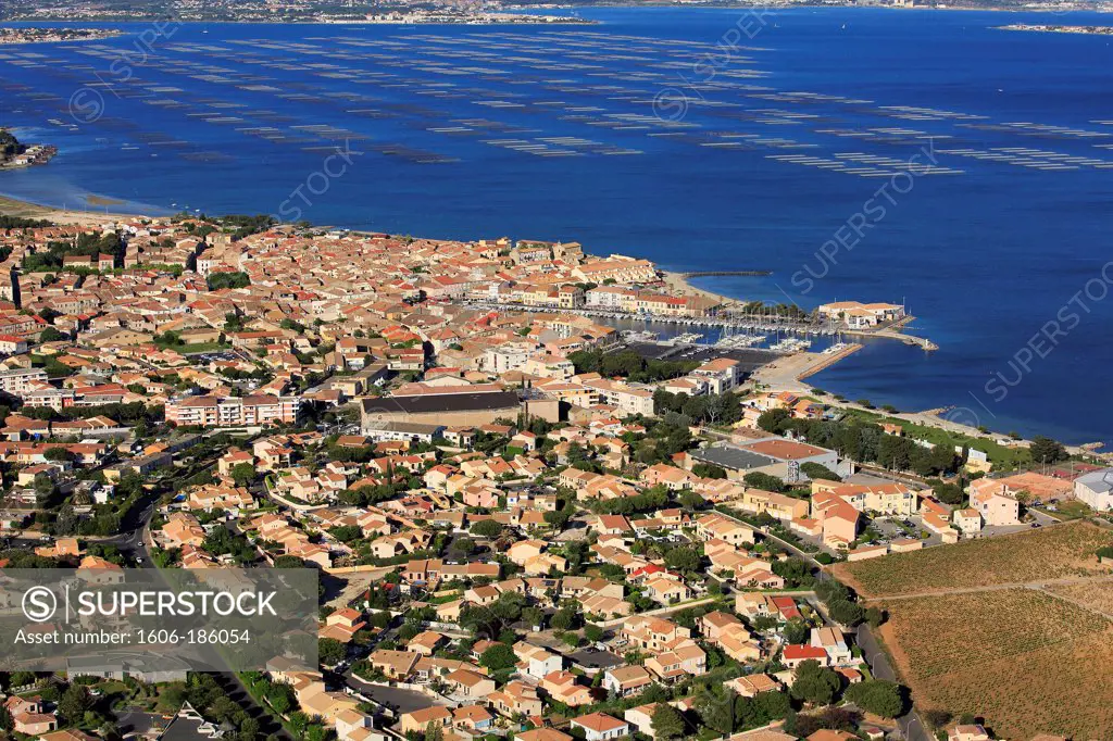 France, Hérault, Meze, the Mediterranean port city, situated on the banks of the Etang de Thau