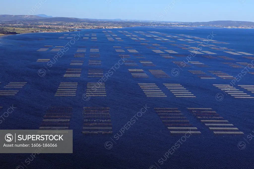 France, Hérault (34), Etang de Thau, site production of oysters and mussels (aerial photo),