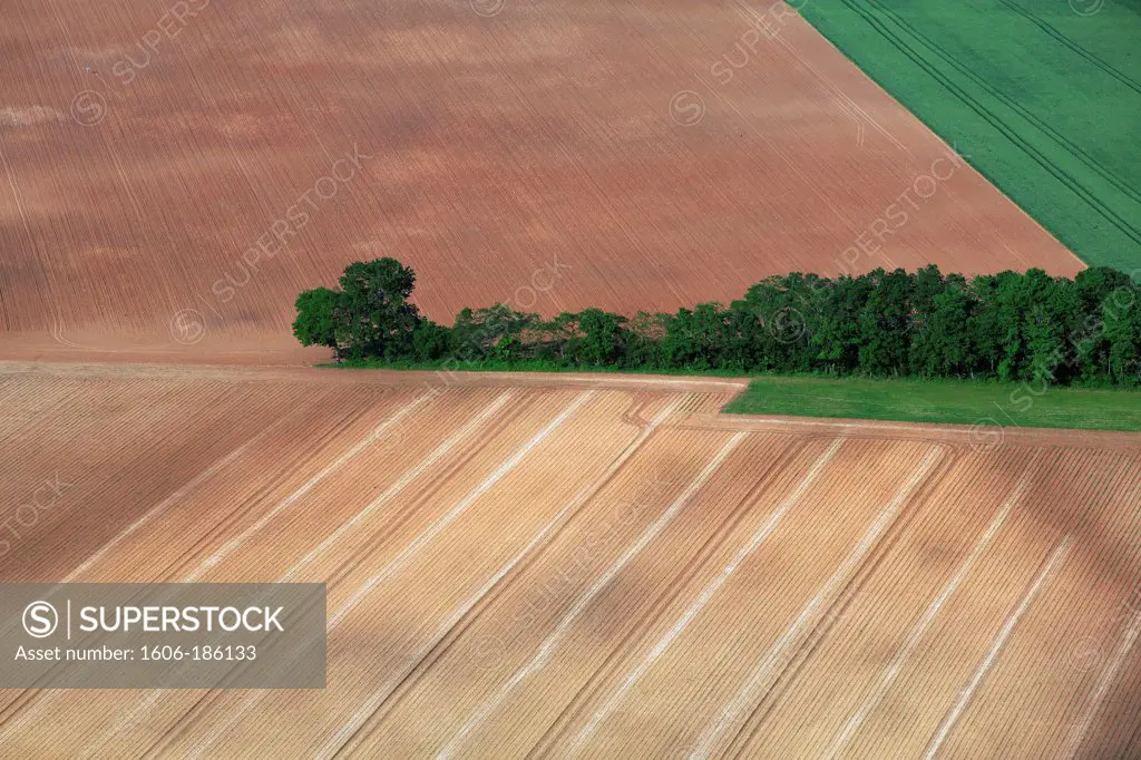 France, Indre (36), Country landscape with various graphics agricultural fields, grasslands, tree (aerial photo),