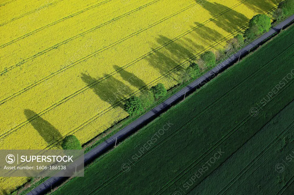 France, Aveyron (12), Landscape, canola field in bloom, country road, (air photo),