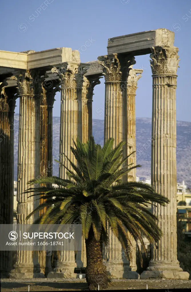Greece, Athens, corinthian columns of Olympieion, palm tree in foreground
