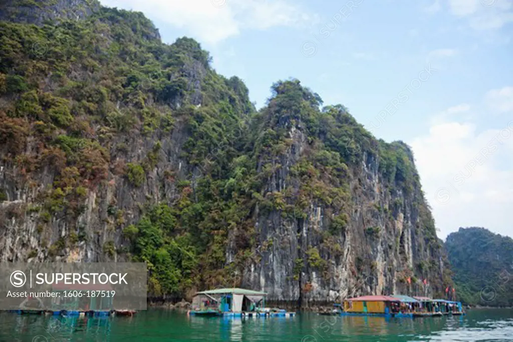 Vietnam,Halong Bay,Floating Village