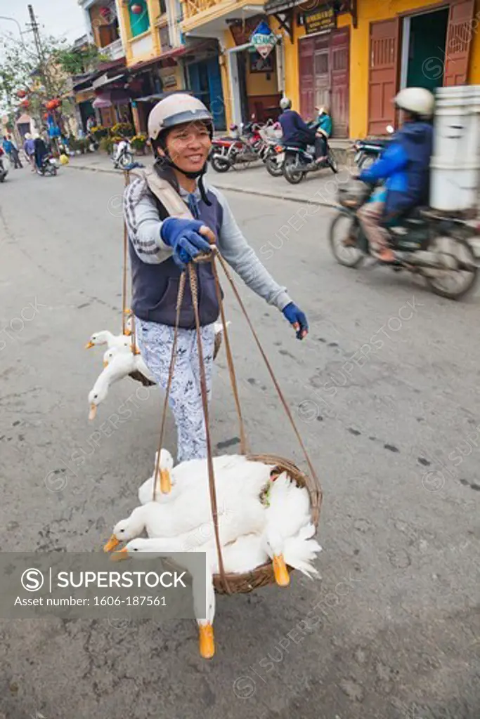 Vietnam,Hoi An,The Old Town,Woman Carrying Ducks to Market