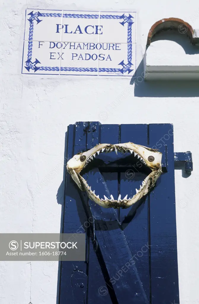 France, Aquitaine, Pyrénées atlantiques, Basque, Country, Biarritz, fishermen harbour, close-up on jaw of a fish on blue shutter of a house, inscription with  square name in Euskara (Basque language)