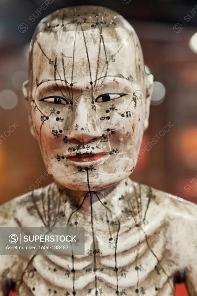 England,London,Euston,The Wellcome Collection Museum,Japanese Papier-Mache Acupuncture Figure