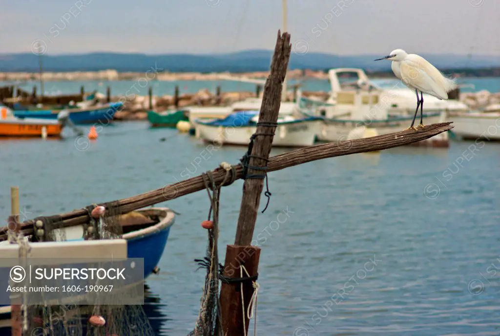 View of Sete fishing harbor in Languedoc Roussillon region, France