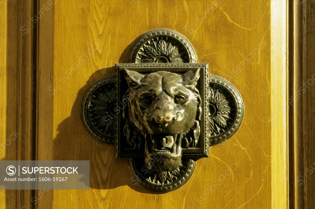 France, Paris, lion head on a door, close-up