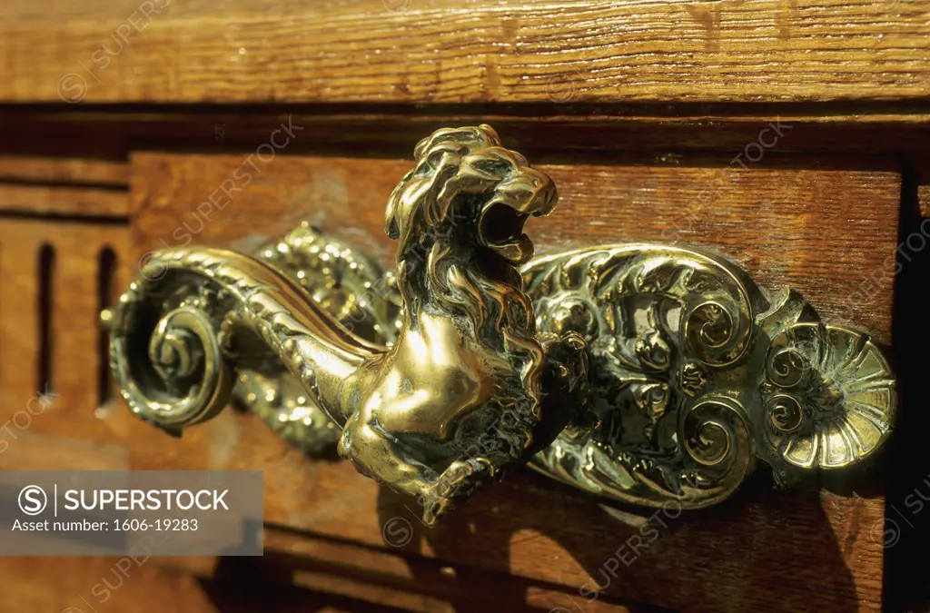 France, Paris, George V avenue, door handle, close-up