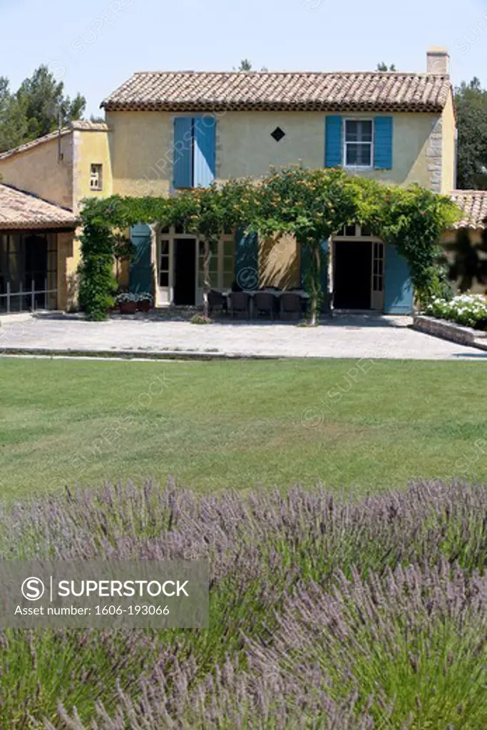 Provencal Farmhouse With A Lavender Field