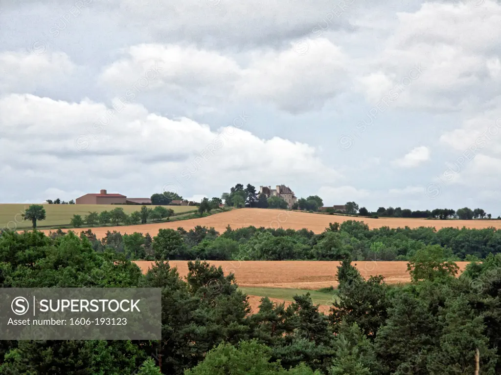 France, Noyers Sur Serein, Wheat Fields