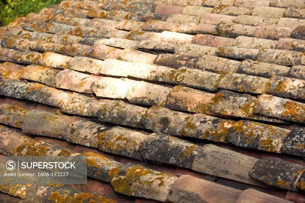 Roman Tiled Roof