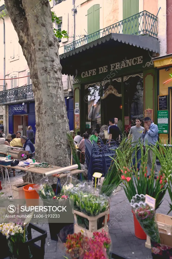 France, Vaucluse Department, Isle Sur La Sorgue, Flower Market Stall In Front Of The Cafe De France