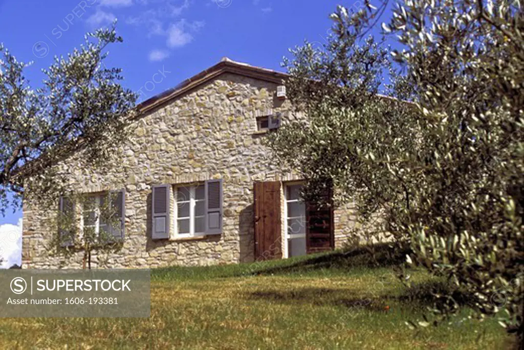 Italy, Tuscany, Tuscan House With Olive Trees