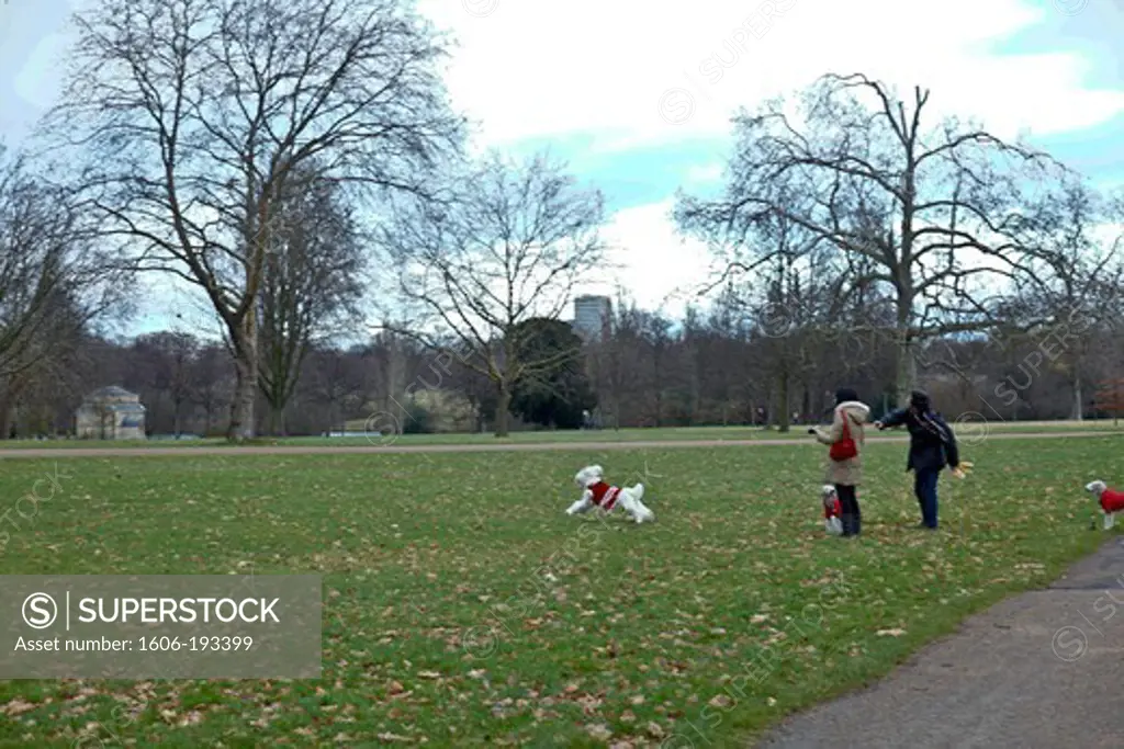 England, London, Couple Playing With Their Dogs In Kensington Garden