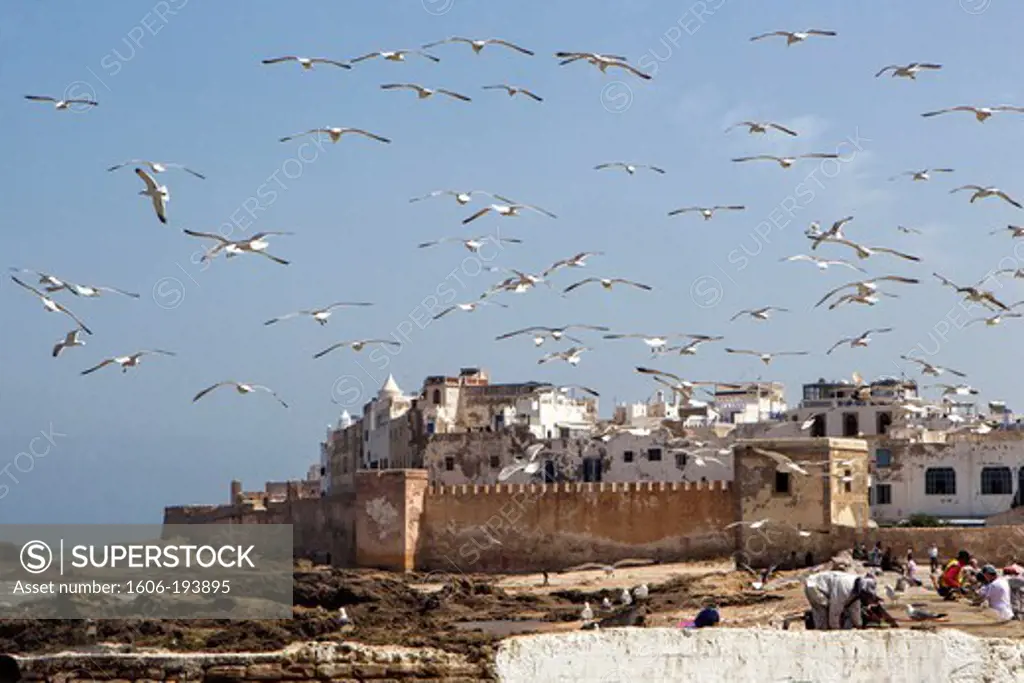 City Walls Essaouira, Morocco
