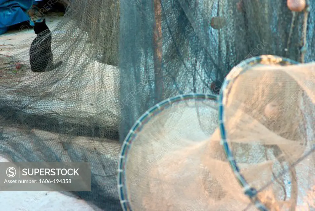 France, Sete, Fishing Nets With Cat