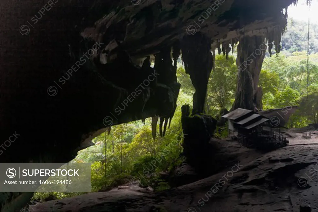 Malaysia, Borneo, Niah Cave
