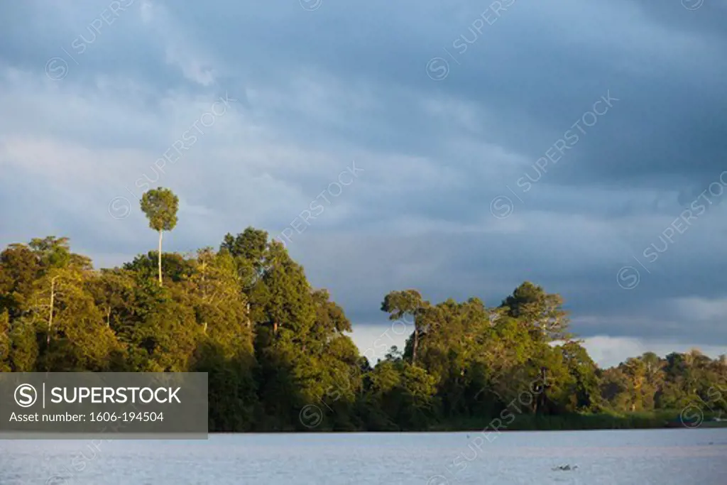 Malaysia, Borneo, Sabah, Kinabatangan River