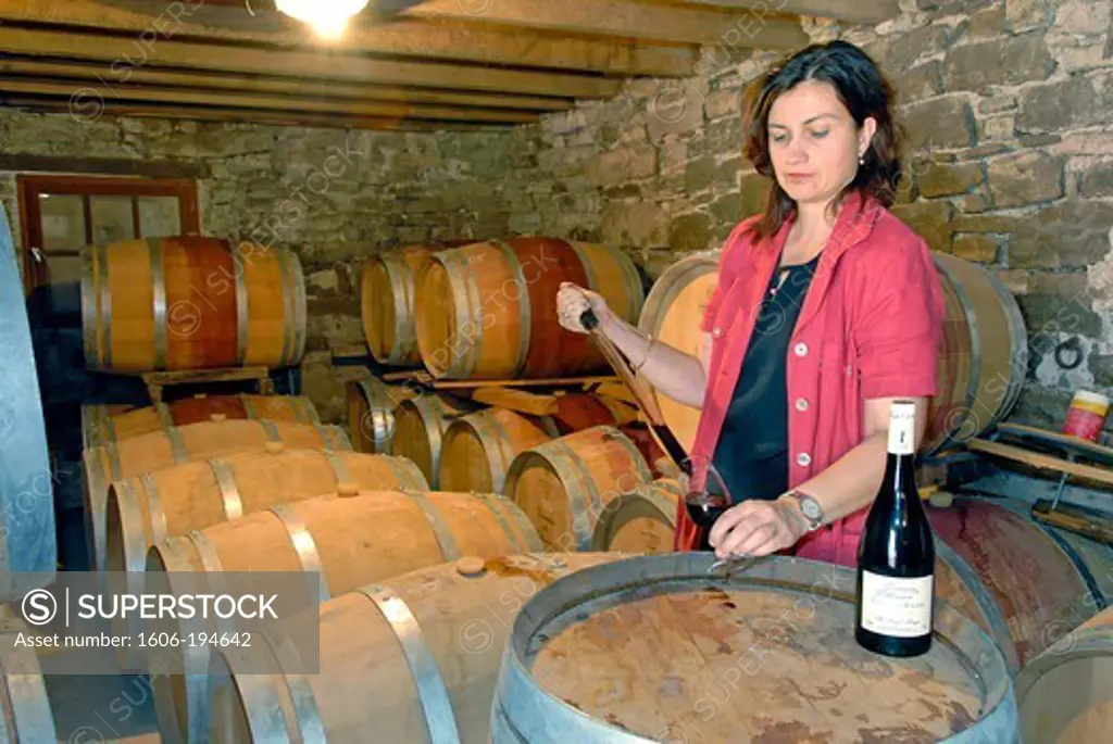 France, Aude Department, A Woman Testing Wine In A Wine Cellar