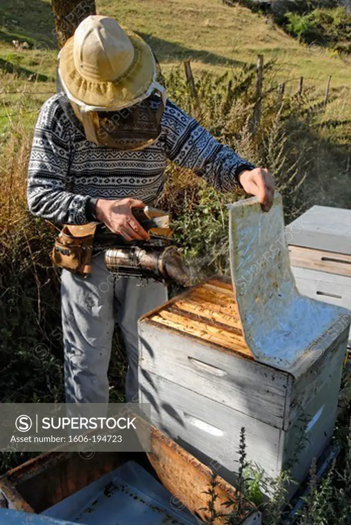 France, Lozere Department, A Beekeeper