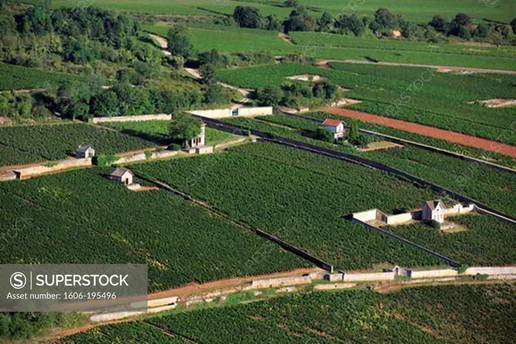 France, Cote-D'Or (21), Landscape Of Burgundy Vineyards Aoc Vineyards Of The Cote De Beaune, Meursault (Aerial Photo),