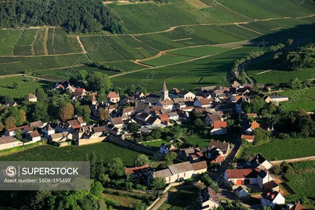 France, Cote-D'Or (21), Monthelie Village Vineyards Cote De Beaune, Burgundy Wine Appellation Of Controlled Origin (Aerial Photo)