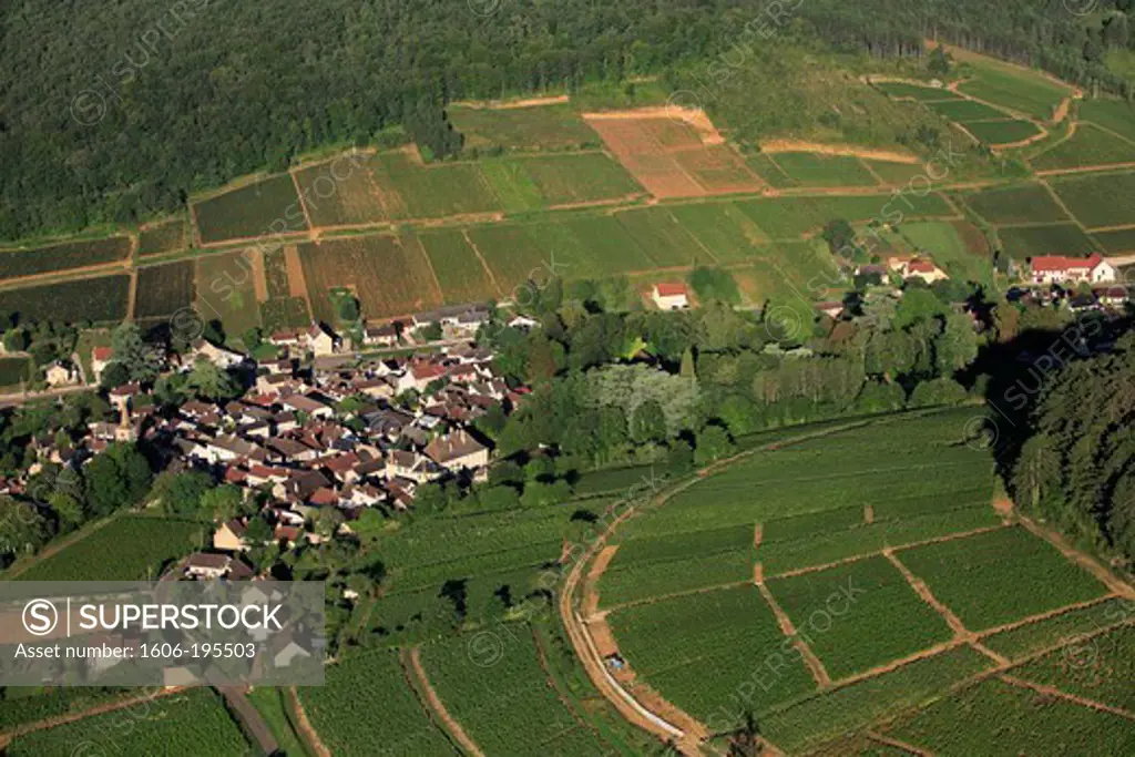 France, Cote-D'Or (21), Pernand Vergelesses Village Vineyards Cote De Beaune, Burgundy Wine Appellation Of Controlled Origin (Aerial Photo)