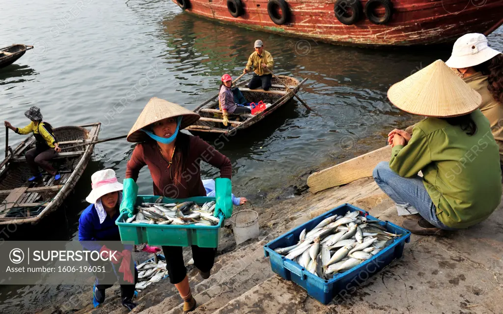 Women Carrying Baskets Full Of Fish, Port Of Cat Ba Island, Halong Bay, North Vietnam, South East Asia, Asia