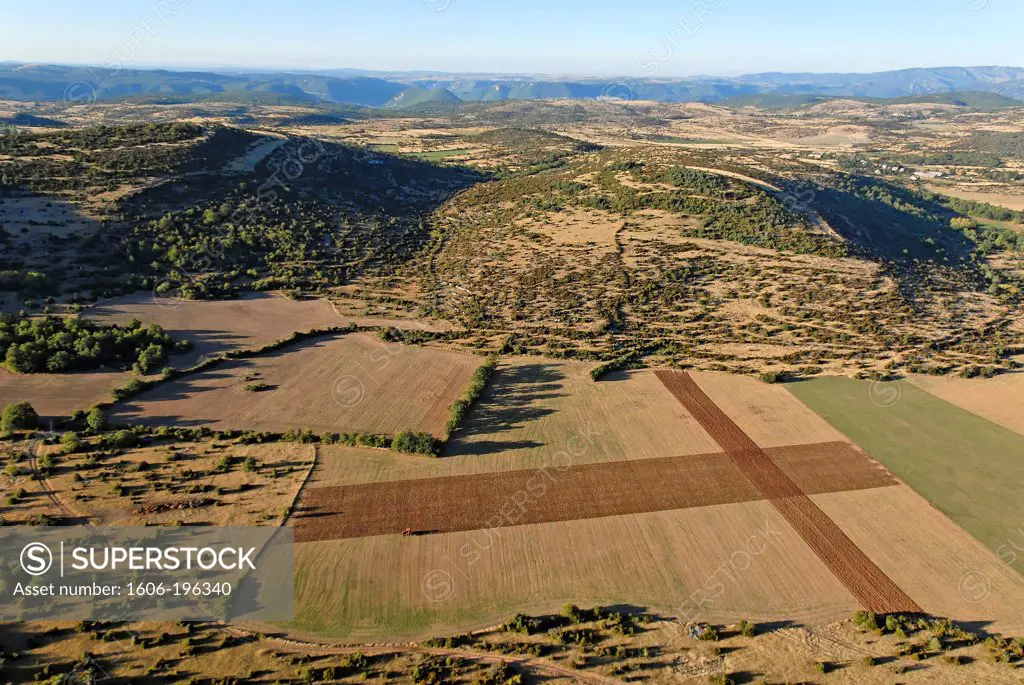 France, Aveyron, Agriculture Landscape Of The Larzac Plateau, Aerial View