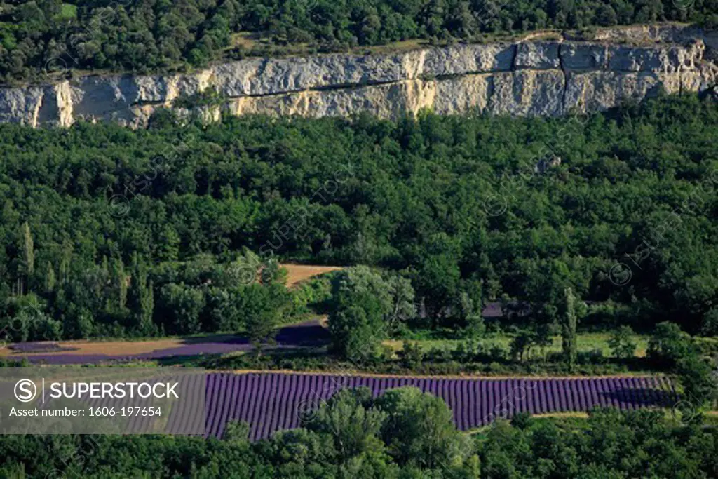 France, Drome (26), Landscape Typical Of The Drome Provencale Lavender Fields With A Cliff (Aerial Photo),