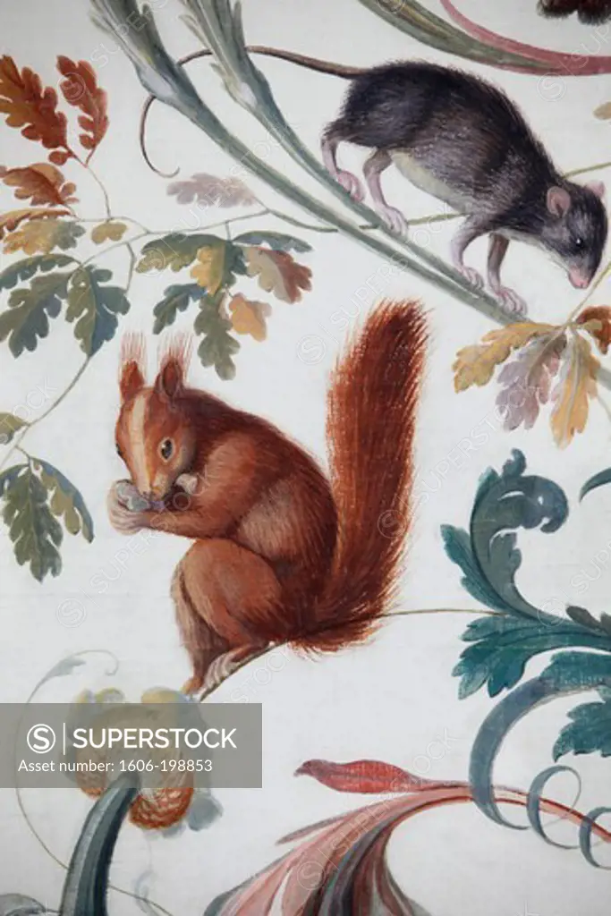 Hermitage Museum. The Loggia Of Raphael. Squirrel And Rat.