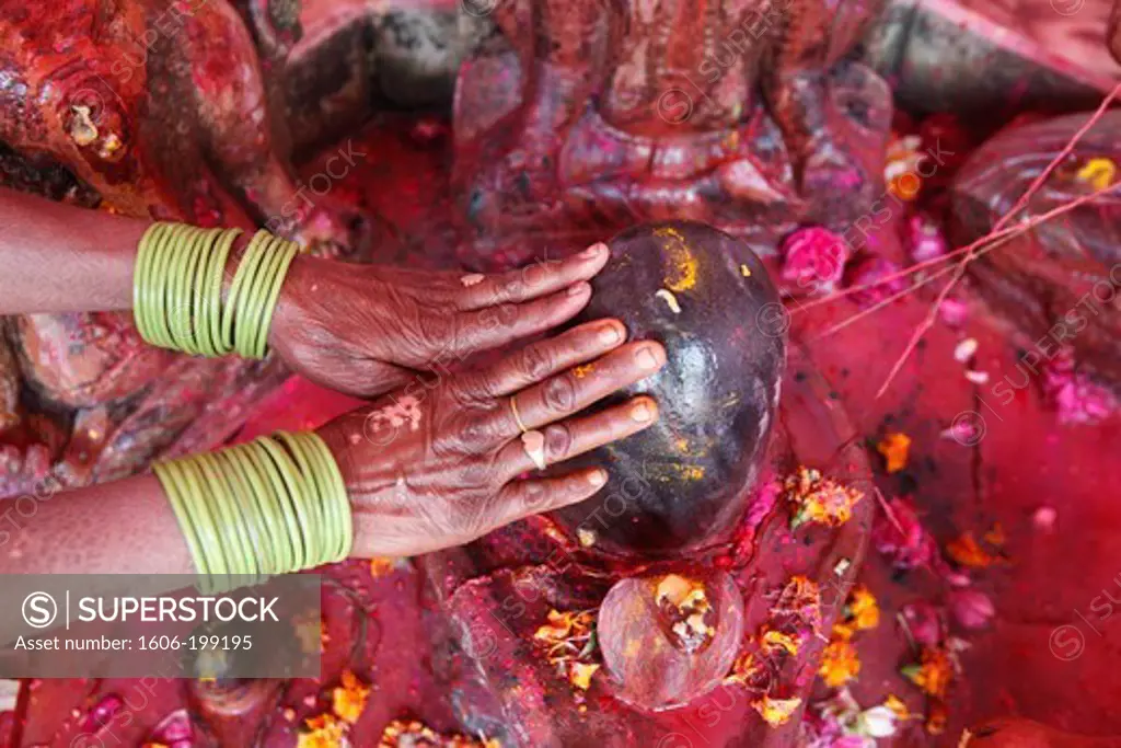 Holi Celebration In Goverdan. Hindu Woman Worshiping A Lingam Goverdan. India.