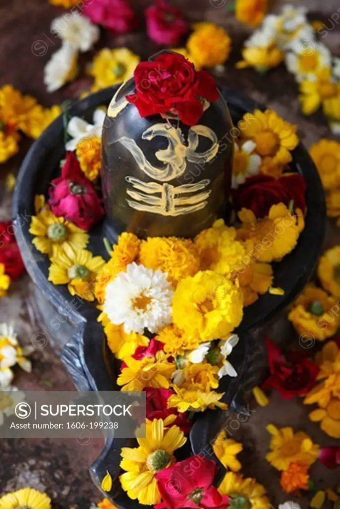 Shiva Lingam Vrindavan. India.