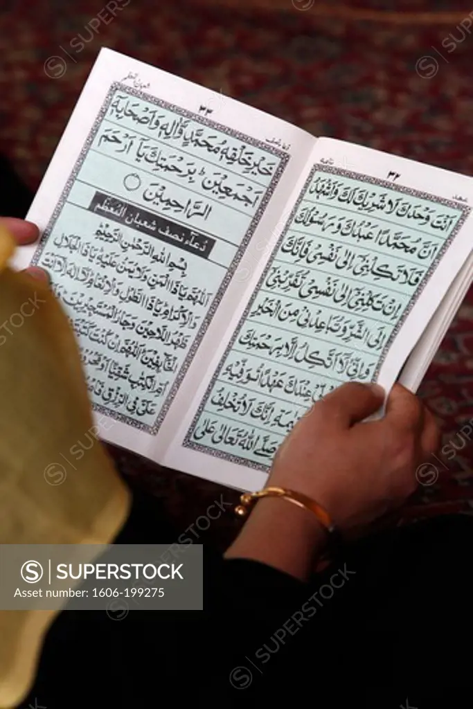 Woman Reading Scriptures In Nizamuddin Dargah Complex Delhi. India.