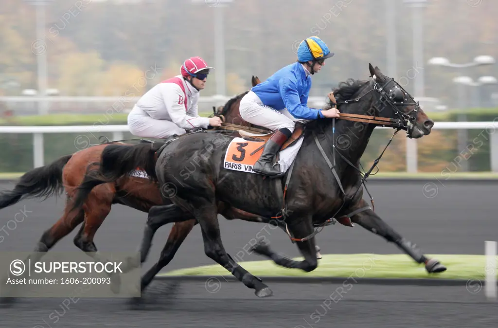 France. Paris. Vincennes. Horses Race. At The Center, Horse, Turbo Jet. Jockey, Y. Lebourgeois