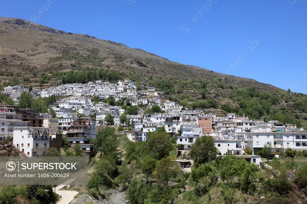Spain, Andalusia, Las Alpujarras, Trevelez, General View,