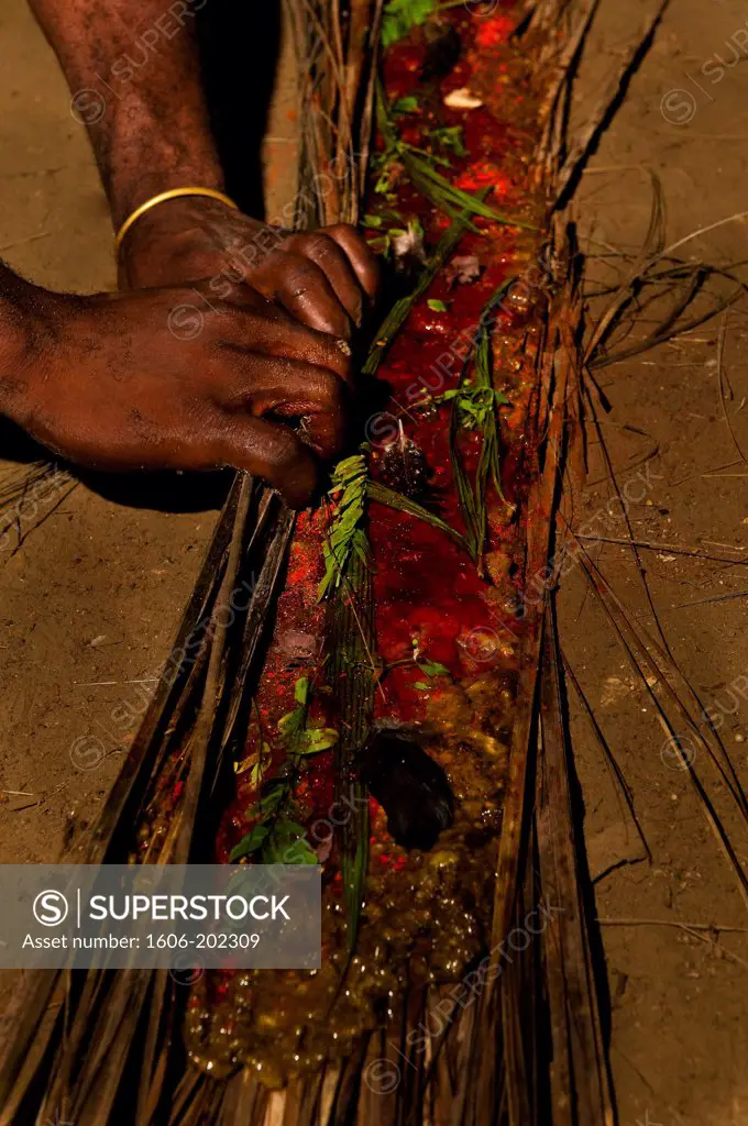 Africa, Gabon, Estuaire Region, Tsango Island, Bwiti Ceremonies, Making Of A Natural Torch