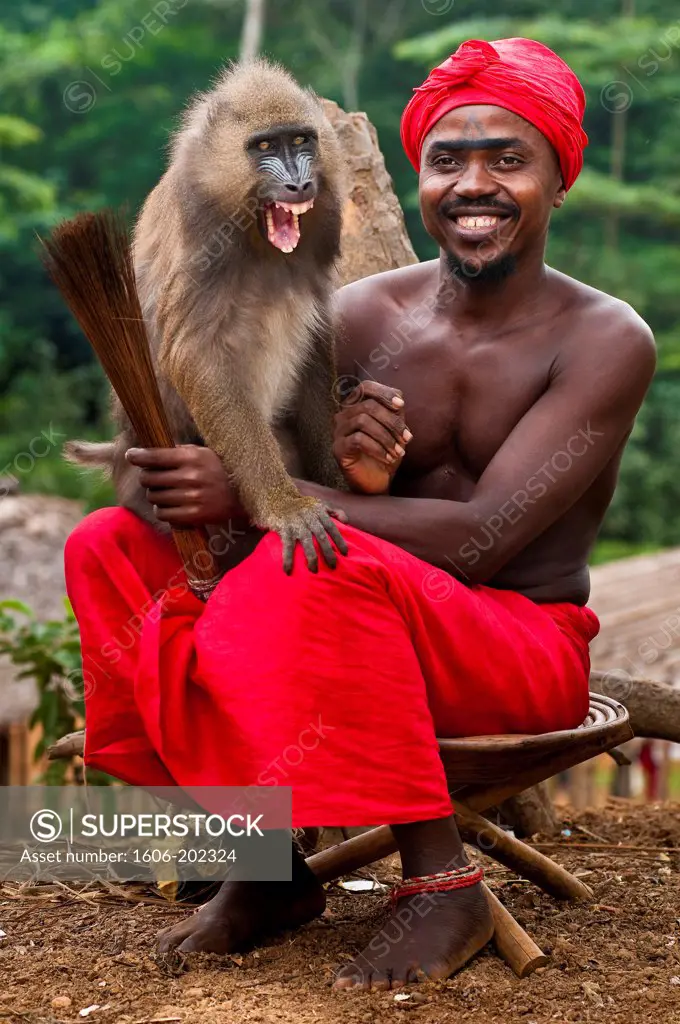 Africa, Gabon, Mboka A Nzambe Village, Bwiti Ceremonies, The Shaman Adumangana And His Monkey 'Saint Jo'