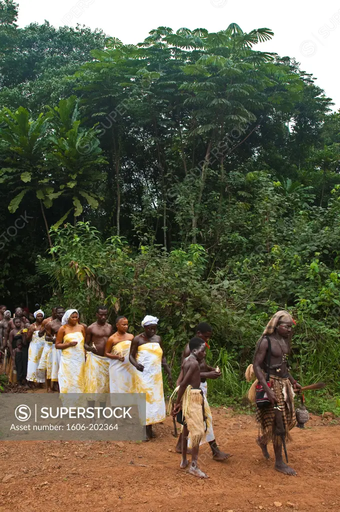Africa, Gabon, Mboka A Nzambe Village, Bwiti Ceremonies, Forest, The Shaman Adumangana With His New Enlightened