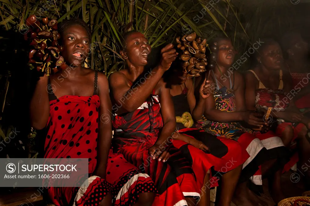 Africa, Gabon, Estuaire Region, Libreville Capital, Bwiti Ceremonies, Women Play Bitsanza (Tree Fruits Called 'Ongo') And Sing Until Dawn