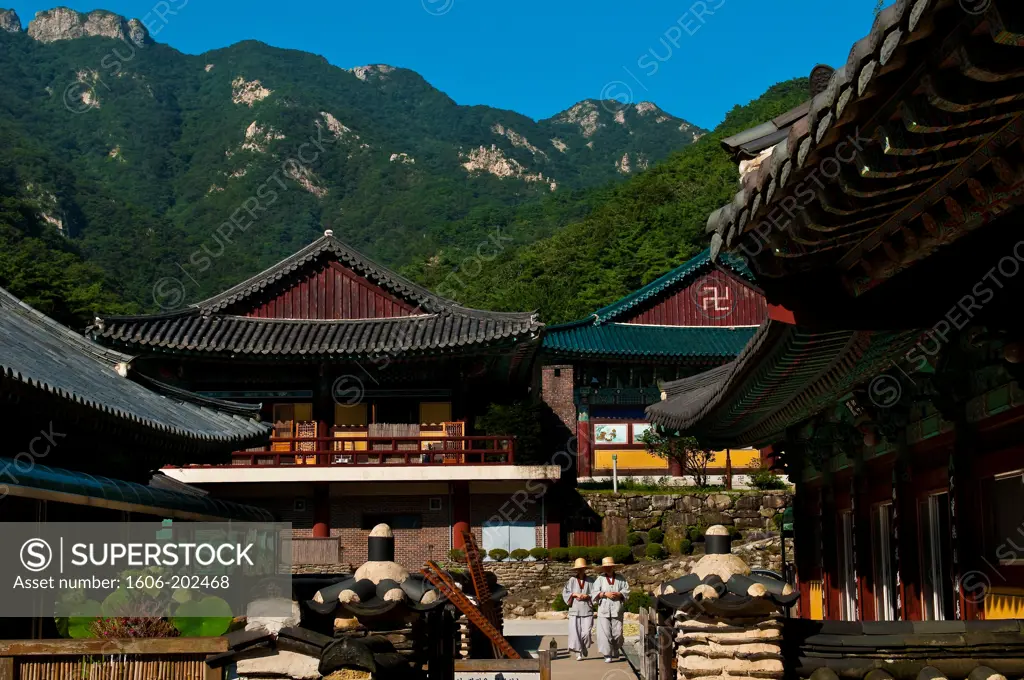 Asia, South Korea, Chungcheongnam-Do Province, Gyeryongsan National Park, Donghaksa Temple Sheltering Nuns
